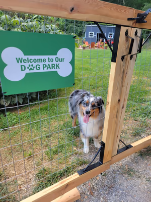 Shepard Dog Park photo 1